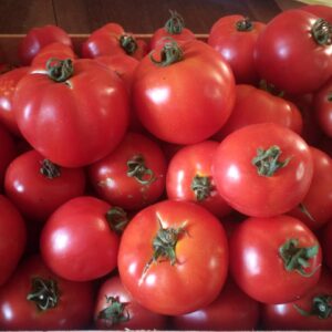 Tomates