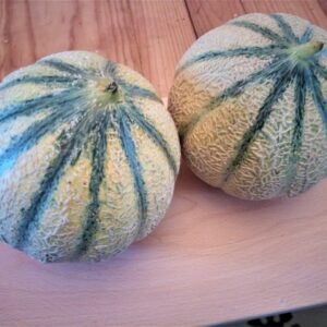 Melon Charentais - de plus de 750g