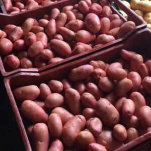 Pommes de terre - DELILA